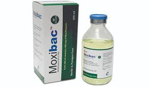 product name
